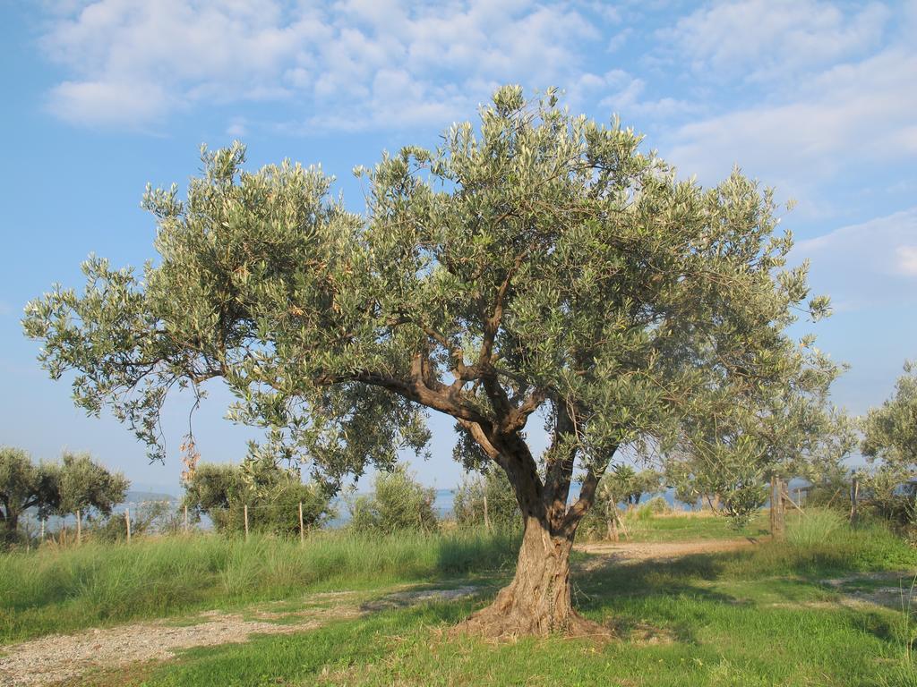 Holiday Home Stella Di Sicilia Аккуедольчі Екстер'єр фото